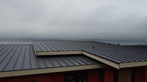 Best Storm Damage Roof Repair  in Nitro, WV